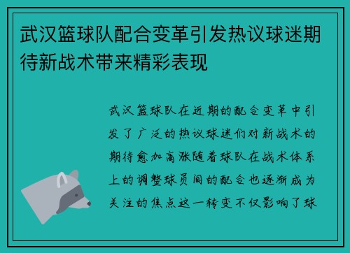 武汉篮球队配合变革引发热议球迷期待新战术带来精彩表现